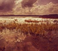 "The Plains of Gorgoroth"